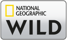 National Geographic Wild